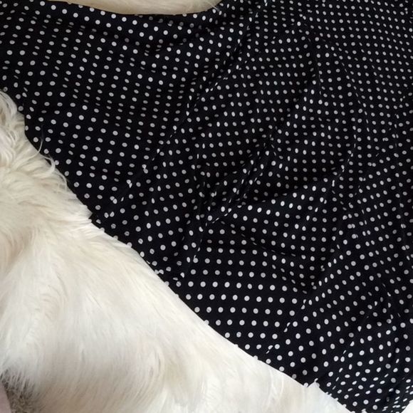 💞CHAPS💞knee length dress - Picture 7 of 8